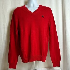 Express Men’s Size Large Red V-neck Pullover Long Sleeve Cotton Sweater Shirt